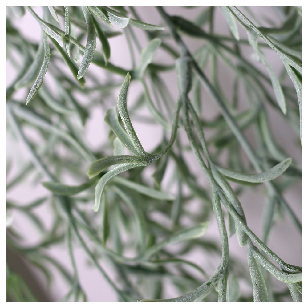 PENDENTE SUCCULENTA CM147